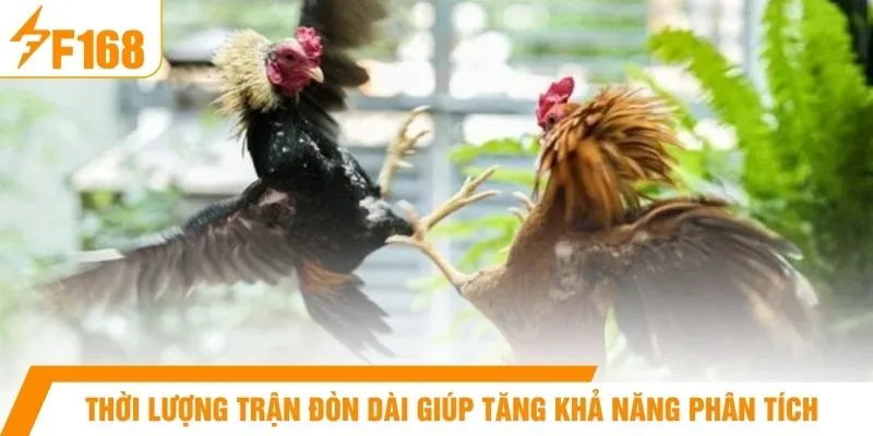 Thời lượng trận đòn dài giúp tăng khả năng phân tích