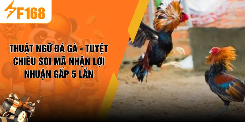 Thuật Ngữ Đá Gà - Tuyệt Chiêu Soi Mã Nhận Lợi Nhuận Gấp 5 Lần